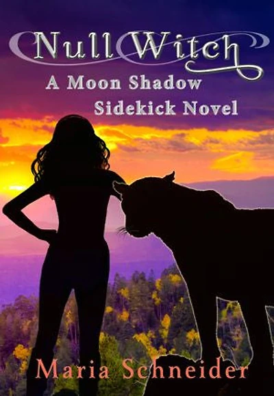 Null Witch: A Moon Shadow Sidekick Novel