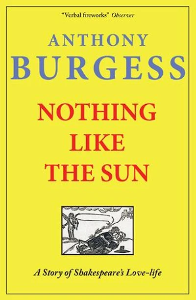 Nothing Like the Sun: A Story of Shakespeare's Love-Life