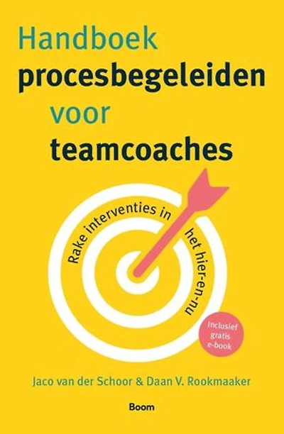 Handboek procesbegeleiden voor teamcoaches: Rake interventies in het hier-en-nu