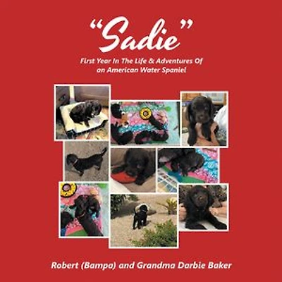 “Sadie”: First Year In The Life & Adventures Of an American Water Spaniel