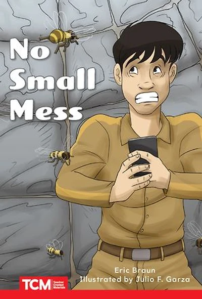 No Small Mess: Level 1: Book 7
