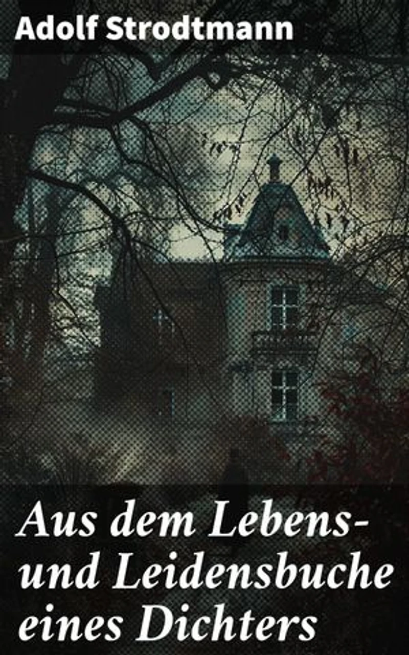 Aus dem Lebens- und Leidensbuche eines Dichters: Ein Blick in die Seele eines Dichters