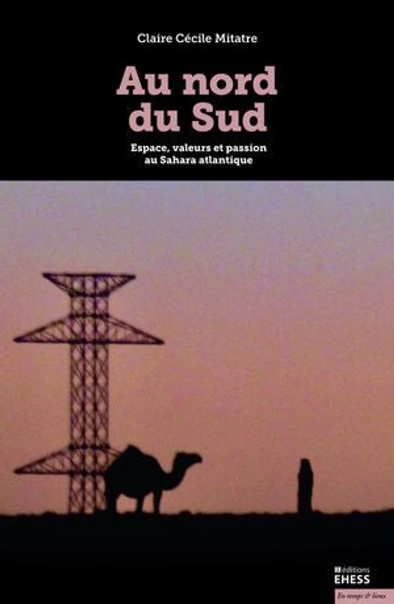 Au Nord Du Sud: Espace, Valeurs Et Passion Sahara Atlantique