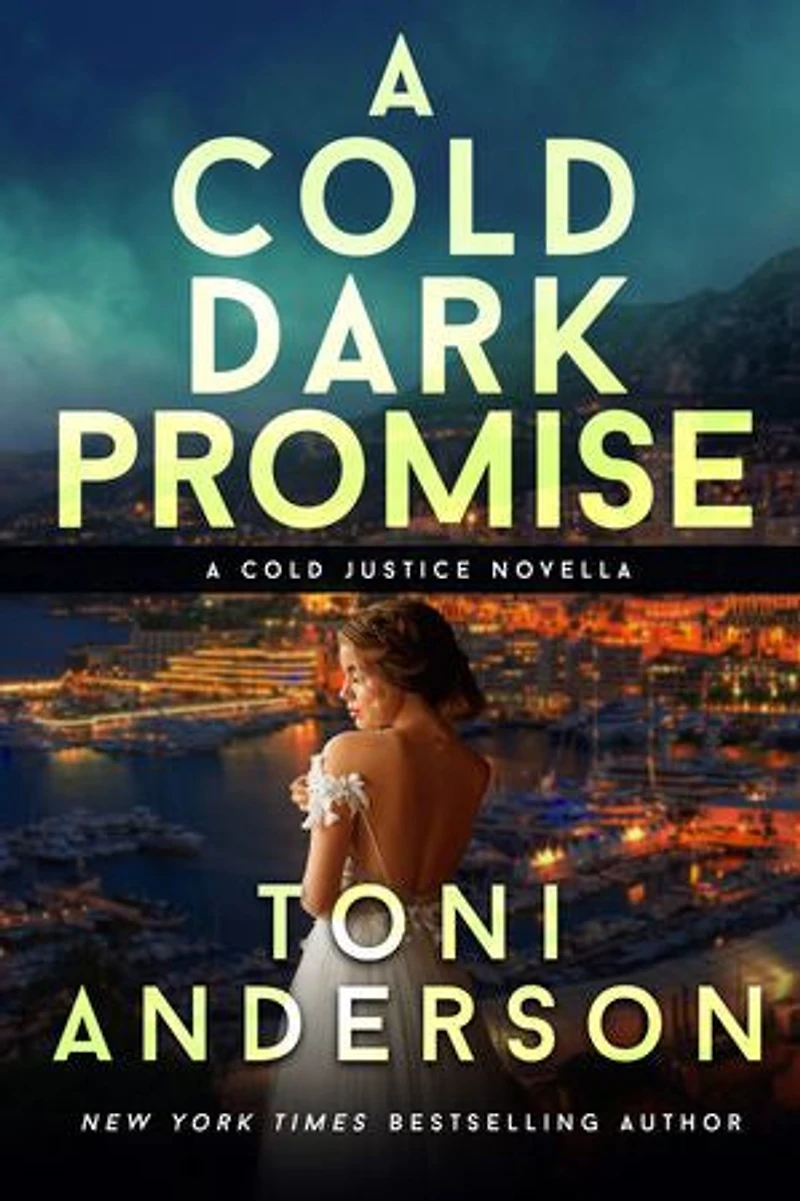 A Cold Dark Promise: Romantic Thriller
