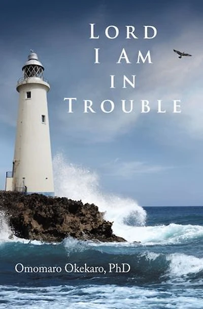 Lord I Am Trouble