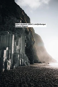 Aðrar skoðanir 2024 3. ársfjórðungur