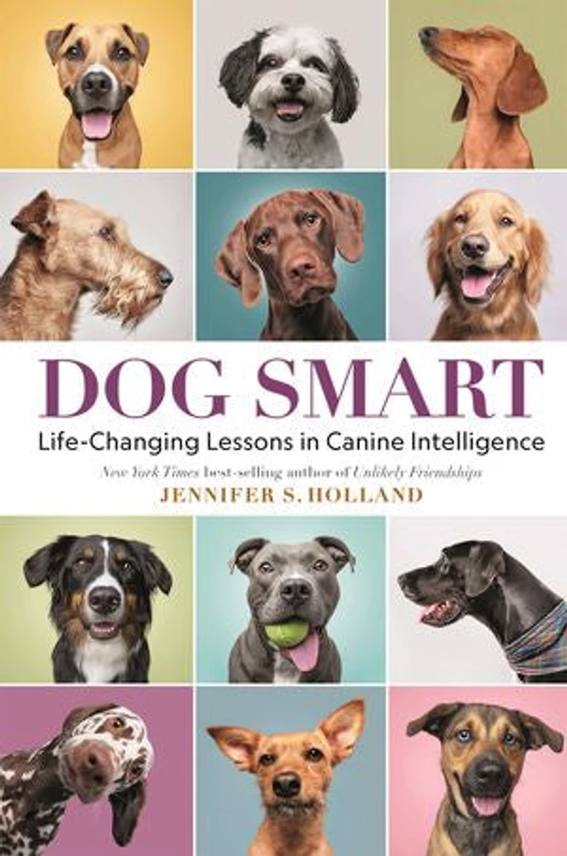 Dog Smart: Life-Changing Lessons Canine Intelligence