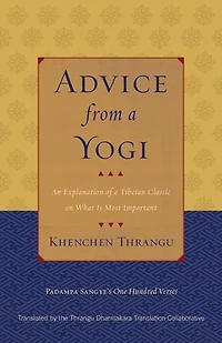 Advice from a Yogi: An Explanation of Tibetan Classic on What Is Most Important