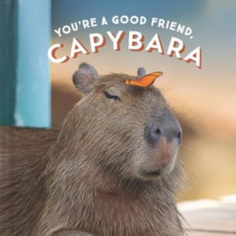 You're A Good Friend, Capybara