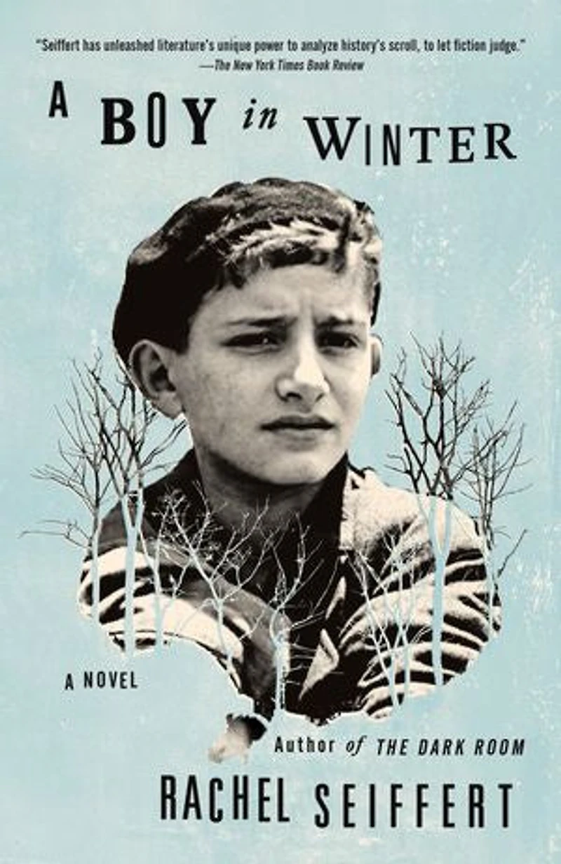 A Boy Winter: Novel