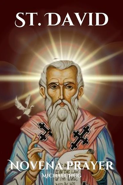 St. David Novena prayer: The True story of St. David Novena a Catholic novena prayer book for 9 days devotion and biography