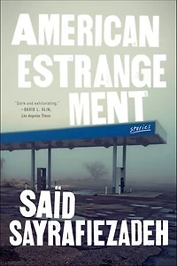 American Estrangement: Stories