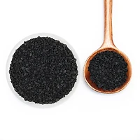 Black Lava Sea Salt