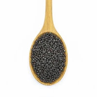 Mustard - Black Seed