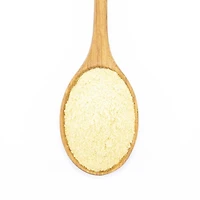 Mustard - Yellow Ground