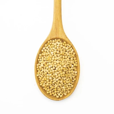 Mustard - Yellow Seed