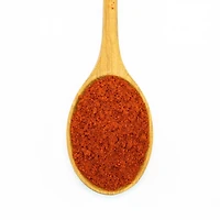 Paprika - Spanish Hot