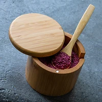 Salt Box with Spoon Little Dipper