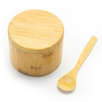 Salt Box with Spoon Little Dipper
