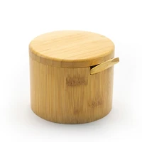 Salt Box with Spoon Little Dipper