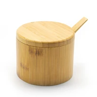 Salt Box with Spoon Little Dipper