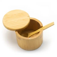 Salt Box with Spoon Little Dipper