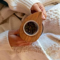 Tea Nest Infuser (Vine, Leaf)