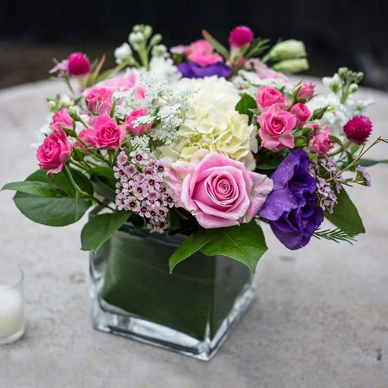 Modern Garden Charm