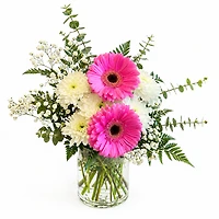 Gerber & Grace Bouquet
