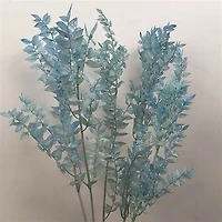 Italian Ruscus leaves (Preserved)