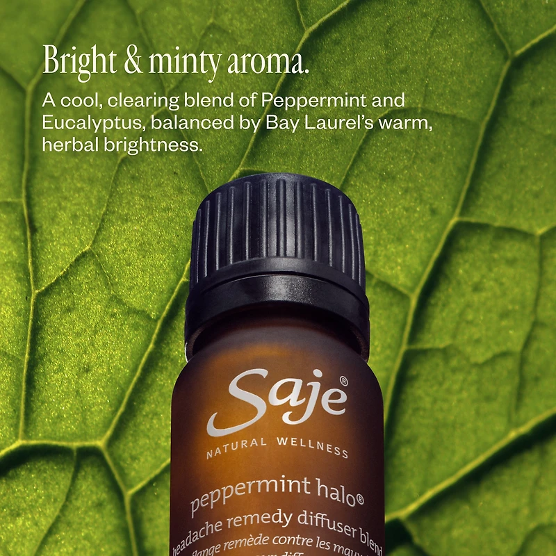 Aroma Halo & Peppermint Halo Diffuser Blend