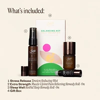 Balancing Act Kit