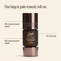 Balancing Act Kit