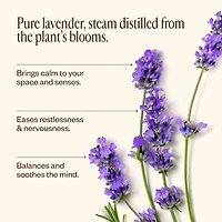Lavender Oil