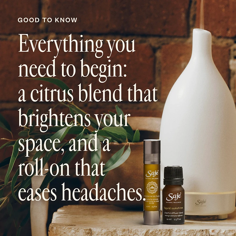 Best-Seller Discovery Set