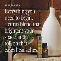 Best-Seller Discovery Set