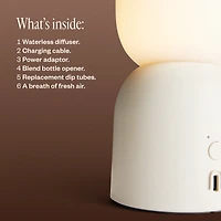 Aroma Aurora