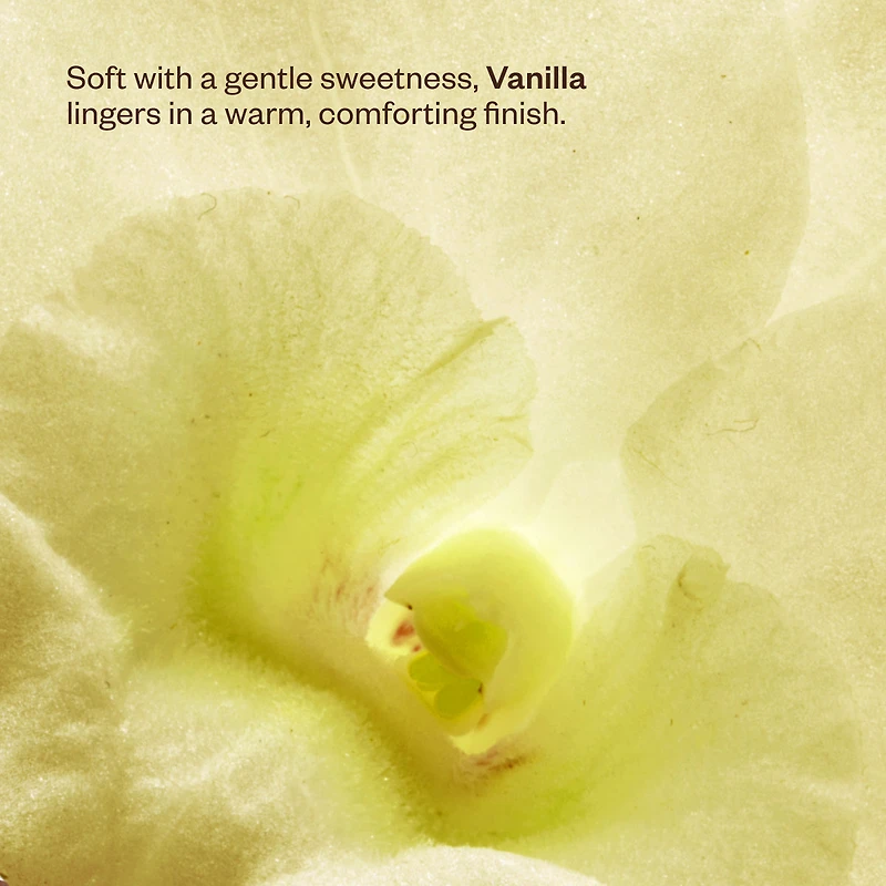 Wanderlust Diffuser Duo