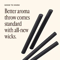 Aroma Horizon Next Gen Refills