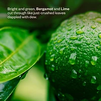Liquid Sunshine®