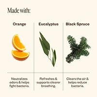 Multi-Surface Cleaning Kit