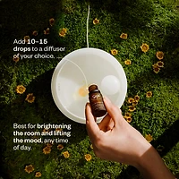 Liquid Sunshine®