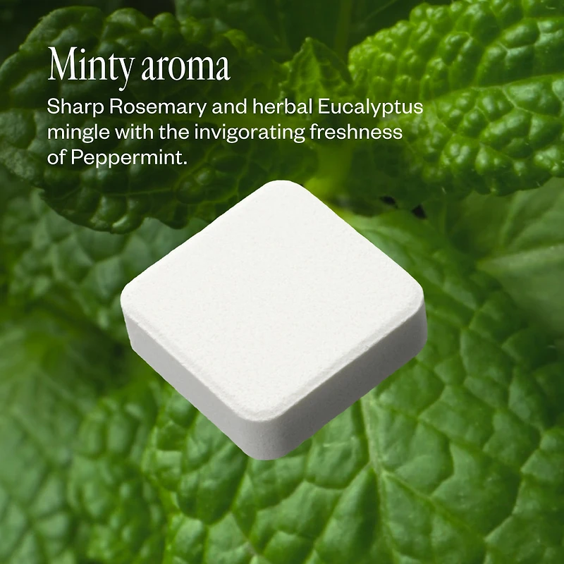 Refreshmint