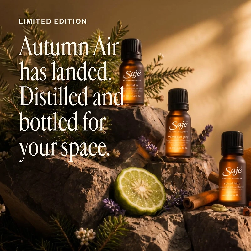 Autumn Air Collection