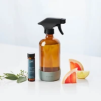 Glass and Mirror Cleaning Kit