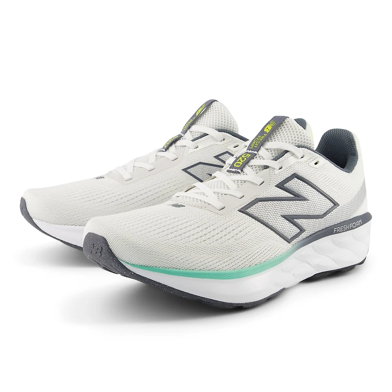 Fresh Foam 520 V9 M