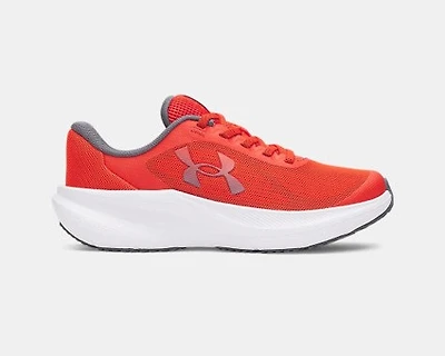 UA BGS Chase