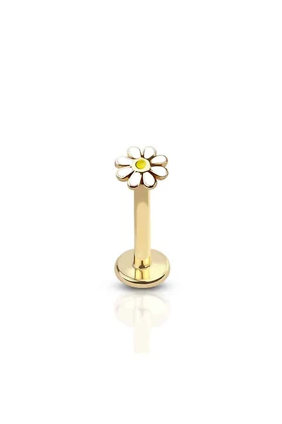 PREMIUM Daisy Flat Back 16g