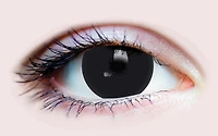 Mini Sclera