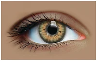 Hazel Harmony - Green and Brown Colored - Primal Contact Lenses
